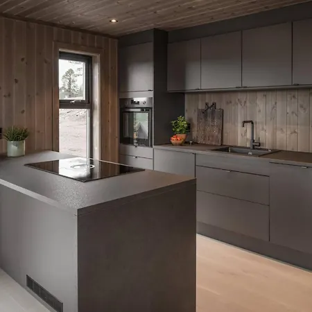 Luxurious Standard Cabin In Norway Perfect For Your Near Trysil
